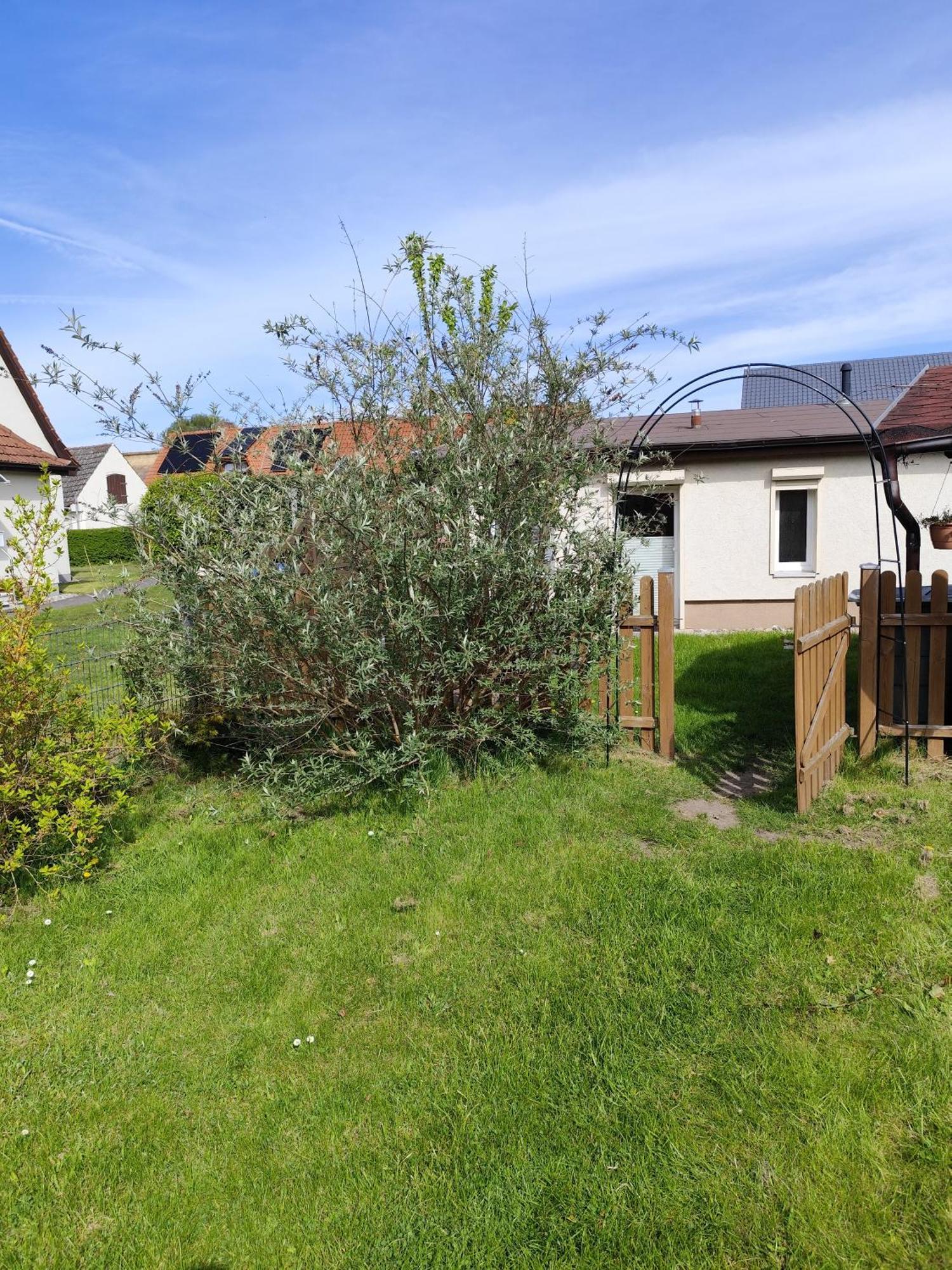 Sonnengarten Uckeritz Exterior foto